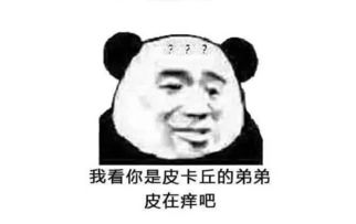群里有人骂你表情包怼回去我看你是皮卡丘的弟弟皮在痒吧