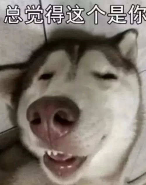 别骚了,把衣服穿上