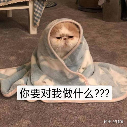 狗头表情包沙雕跳舞