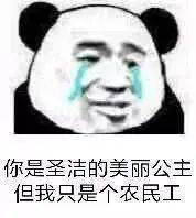 熊猫头表情包i懂了开始烦我了