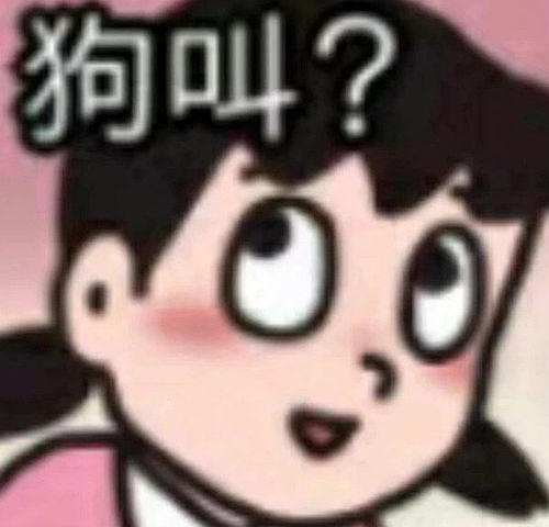 表情包的网站孙一宁