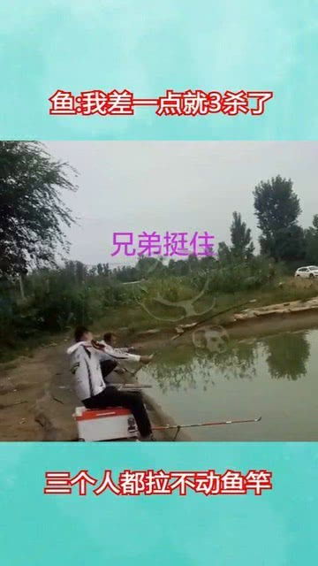 三个人都拉不动鱼竿,是钓到对面几位兄弟了吧