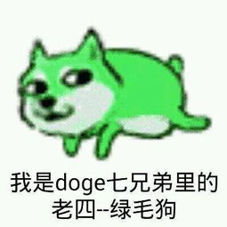 求doge表情包,神烦狗表情包