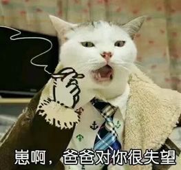 福利晒萌宠,手绘稿免费送