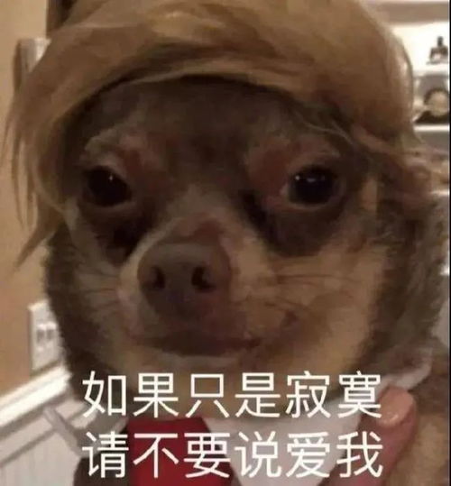千万不要和暗恋的人合照求求你们在一起吧