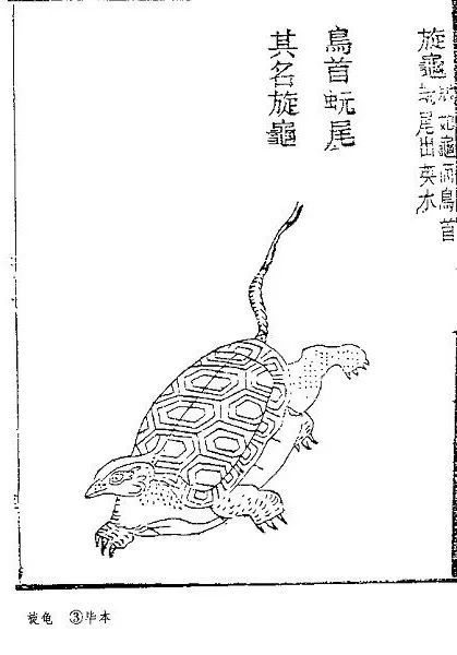 当艺术家爱上中老年表情包