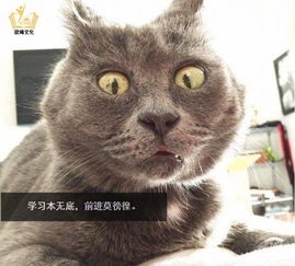 上海市普陀区日语零基础培训费用