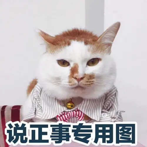 三十多岁微信头像冬天找工作