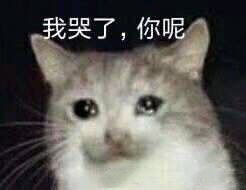 这个双11音为有你不孤单,品牌红酒免费领