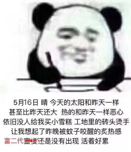 戚薇开包记最便宜的明星同款只要20块