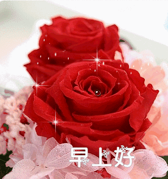 6张特别漂亮的早上好动态表情鲜花图片春日清晨早安问候动画表情包合集