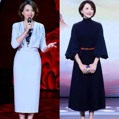 董卿是我见过最得体的中年女人衣不紧身裙不上膝发微卷