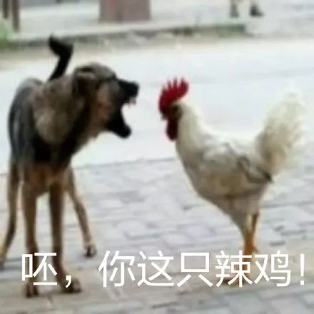 健身房的财富密码是会所