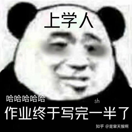 晚安读书人沙雕可爱表情包
