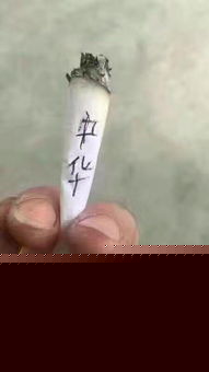 简直无法直视.gif