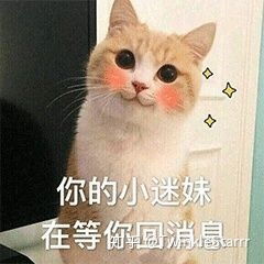 有哪些适合和喜欢的男生聊天女生用的可爱表情包