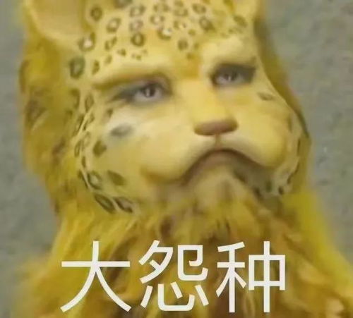 顶流人设爆火,全是装的