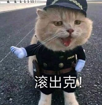 烧火的表情包猫咪
