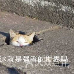 电话地址价格营业时间天河城体育中心西餐团购