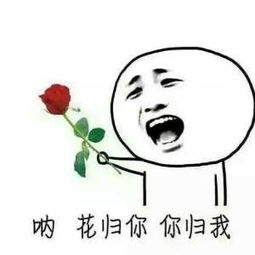 做我女朋友表情包下载,做我女朋友给你钱吃表情包高清无水印版
