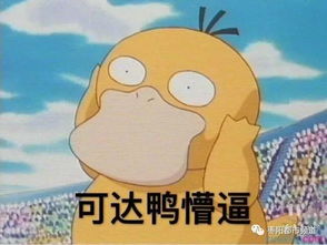 k金一克竟高达800元枣阳金店价格乱象怎么破