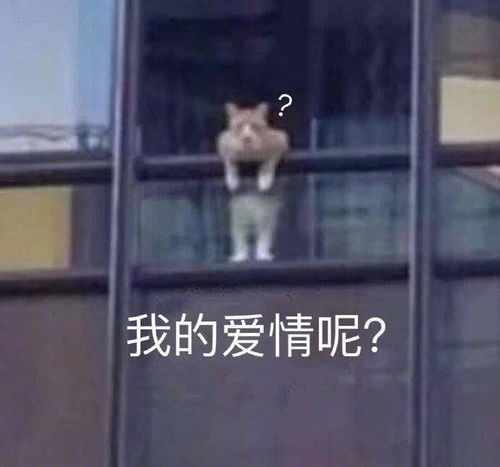 向女生表白,她说阔以先做朋友然后发了一个愉快的表情包我还有机会吗