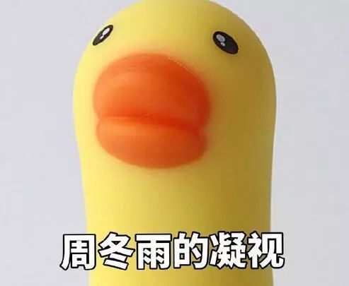 潮流挖掘机张若昀养花周笔畅养蜂,贾乃亮竟然养老虎