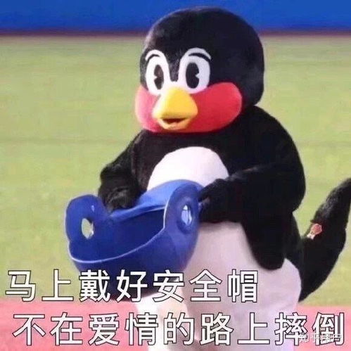 有趣的表情包配文字
