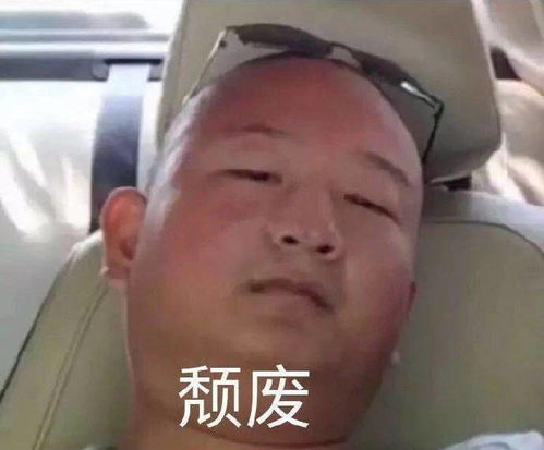 giao哥表情包giaogiaogiao