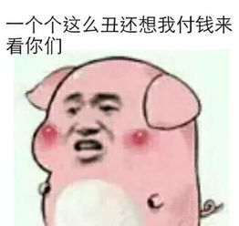 一场盆友圈里段子手们的盛宴