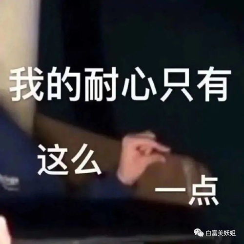 抖音跪拜表情包twitter