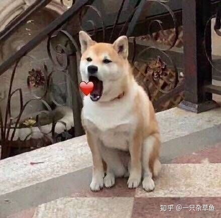 大家有没有好看的小说推荐比较甜的