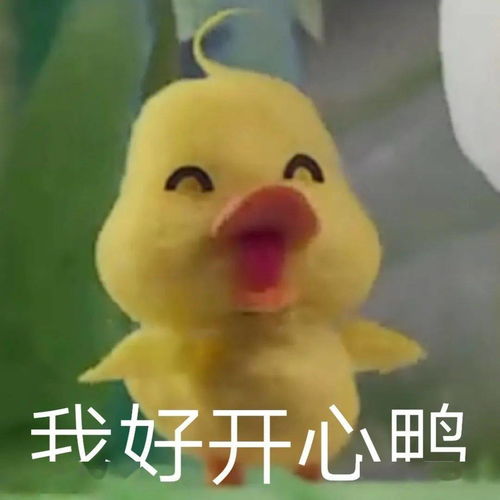 八个小时除了买一杯茶颜悦色还能干什么