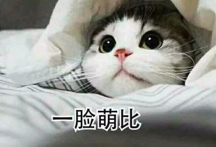 三分成绩,七分志愿那件比高考成绩更重要的事