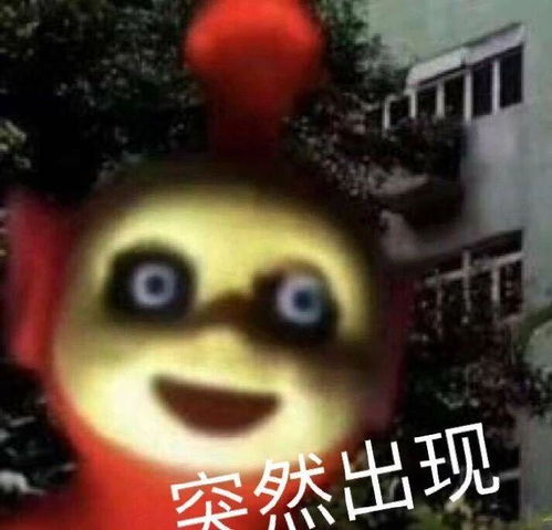 热门表情包图片快给本公主道歉