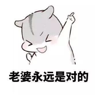 发给老婆的表情包老婆你说什么都是对的
