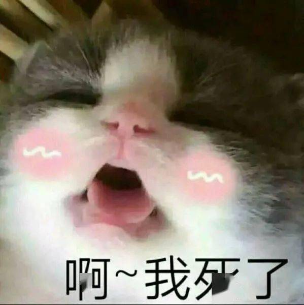 办公室男团突然迎来了一位神秘嘉宾