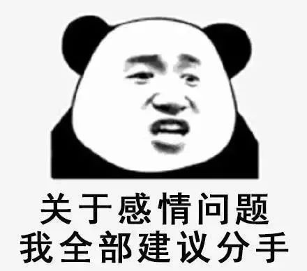 幽默搞笑表情包别说了,小肥猪