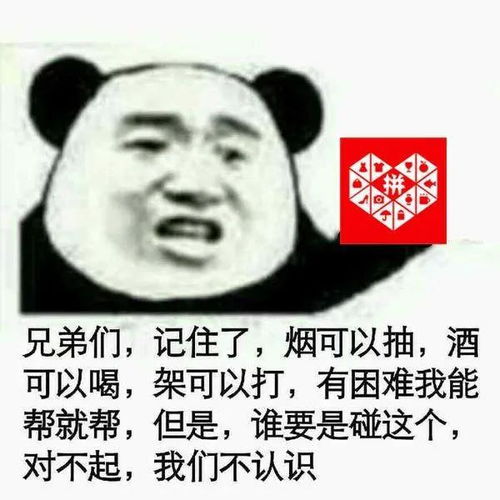 别再追我了表情包黄瓜