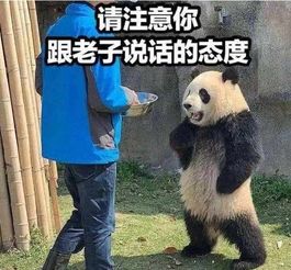 笑话请问你是做什么工作的哦我的工作是杀僵尸网易订阅