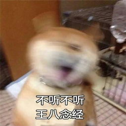 关于女朋友生气表情包带字你那么好看不要生气