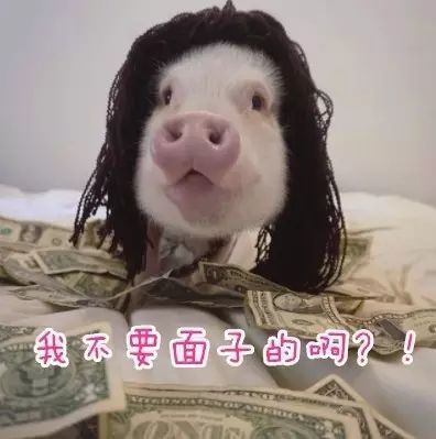 由相差40岁的爷孙恋引发的感想,男生追女生的误区有哪些