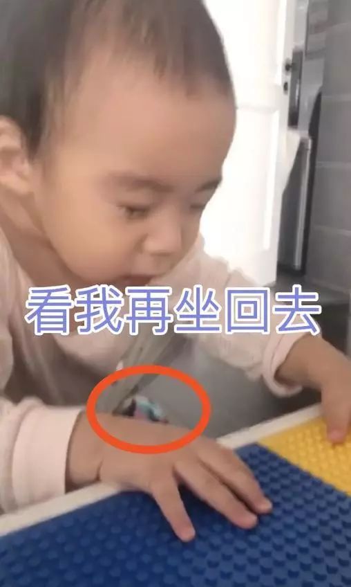 谢楠晒二胎日常,弟弟生气变表情包太像吴所谓,成全家的快乐源泉