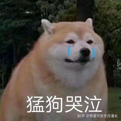 肖战是一个怎么样的人.
