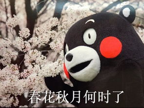 约人吃烧烤表情包天若有情天亦老,人间正道吃烧烤
