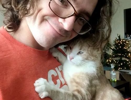 缺乏安全感的小橘猫最喜欢被拥抱,你再不抱我,我就把猫粮吃光哦