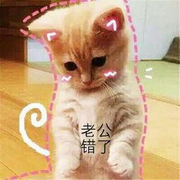 撒娇卖萌表情包合集好讨厌啊