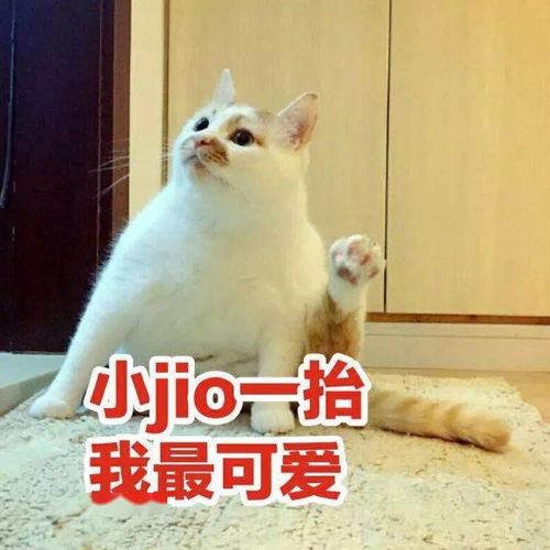 后雪花秀呼吸18款精华安瓶小样使用心得