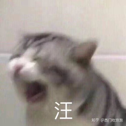 乖巧宝宝激动表情包沙雕