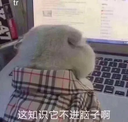 一样的基础,别人托福都110了,你还跟80分死磕呢